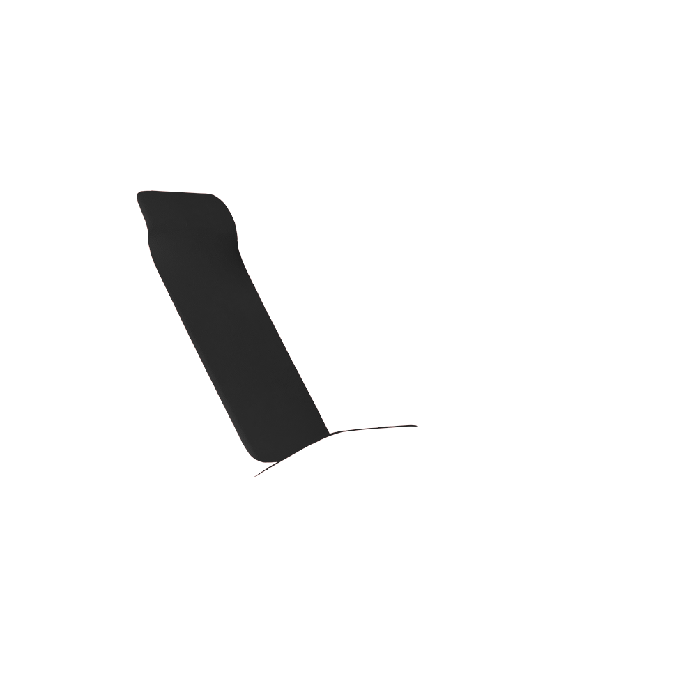 SCHNELL CUSTOMIZING