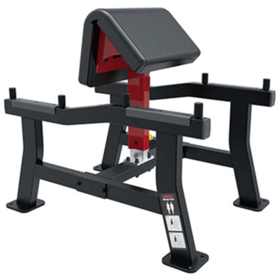Arm Curl Bench
