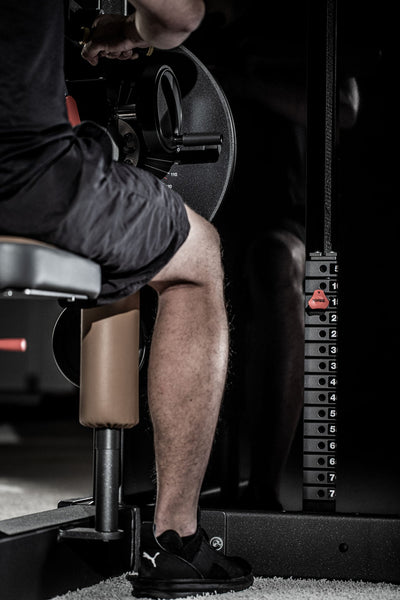 4BACK CONCEPT premium / FPZ Systems