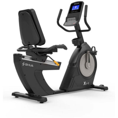Recumbent Bike