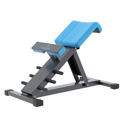Training bench