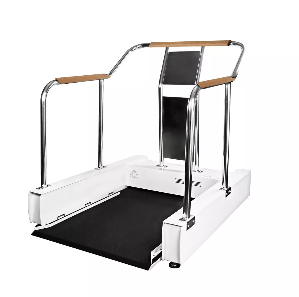 Accessible Wheelchair Sport Platform