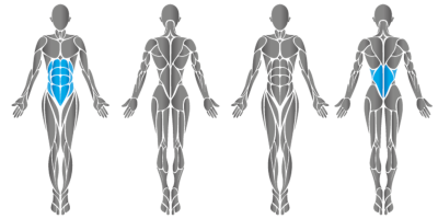 Abdomen / Back 5310