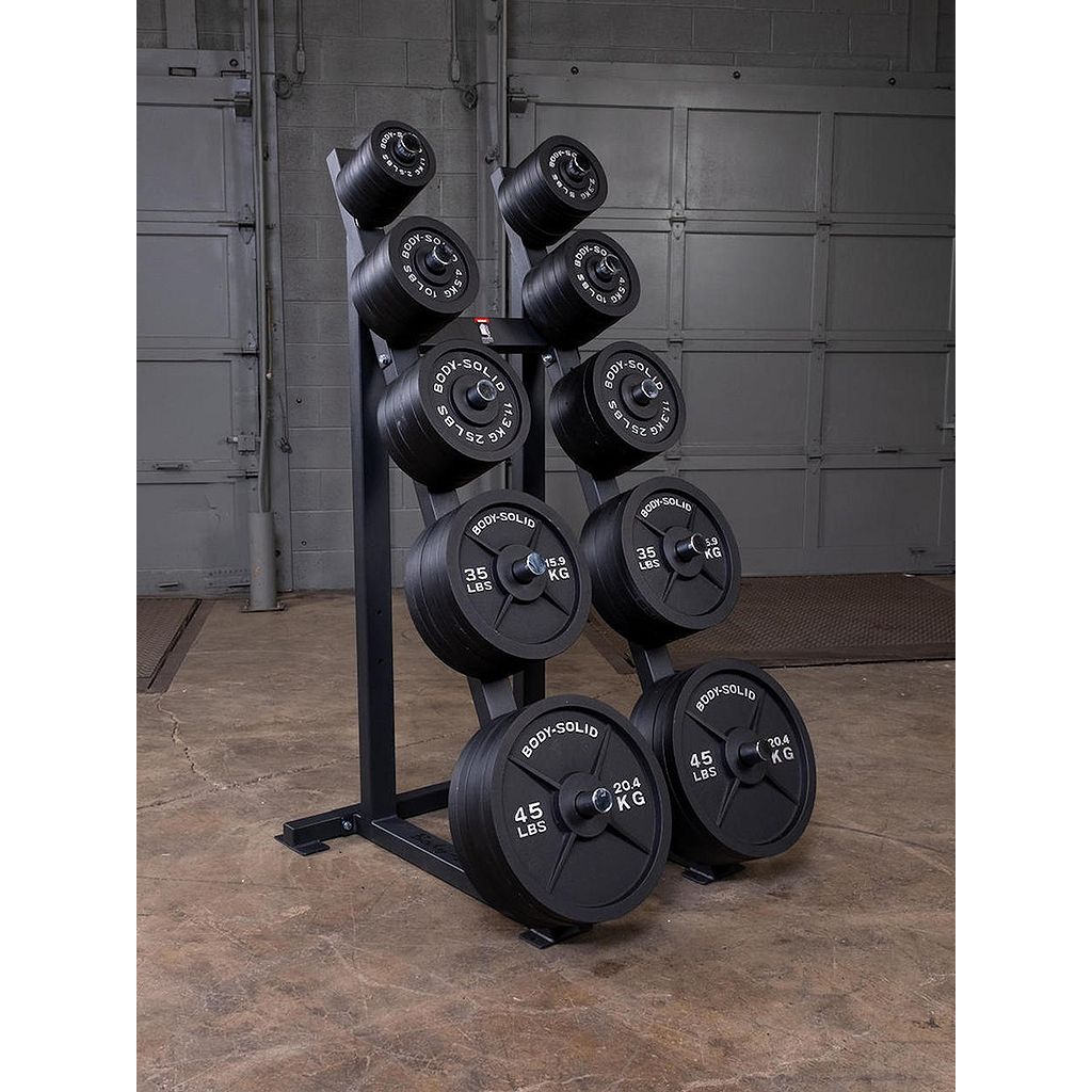 Body Solid GWT76 High Capacity Plate Storage Rack