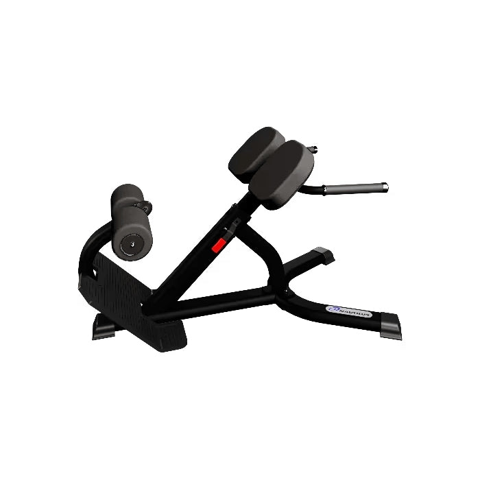 Nautilus Instinct 45 Back Extension Bench