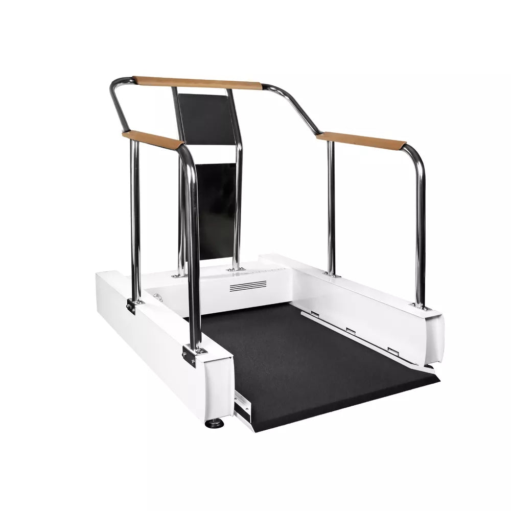Accessible Wheelchair Sport Platform