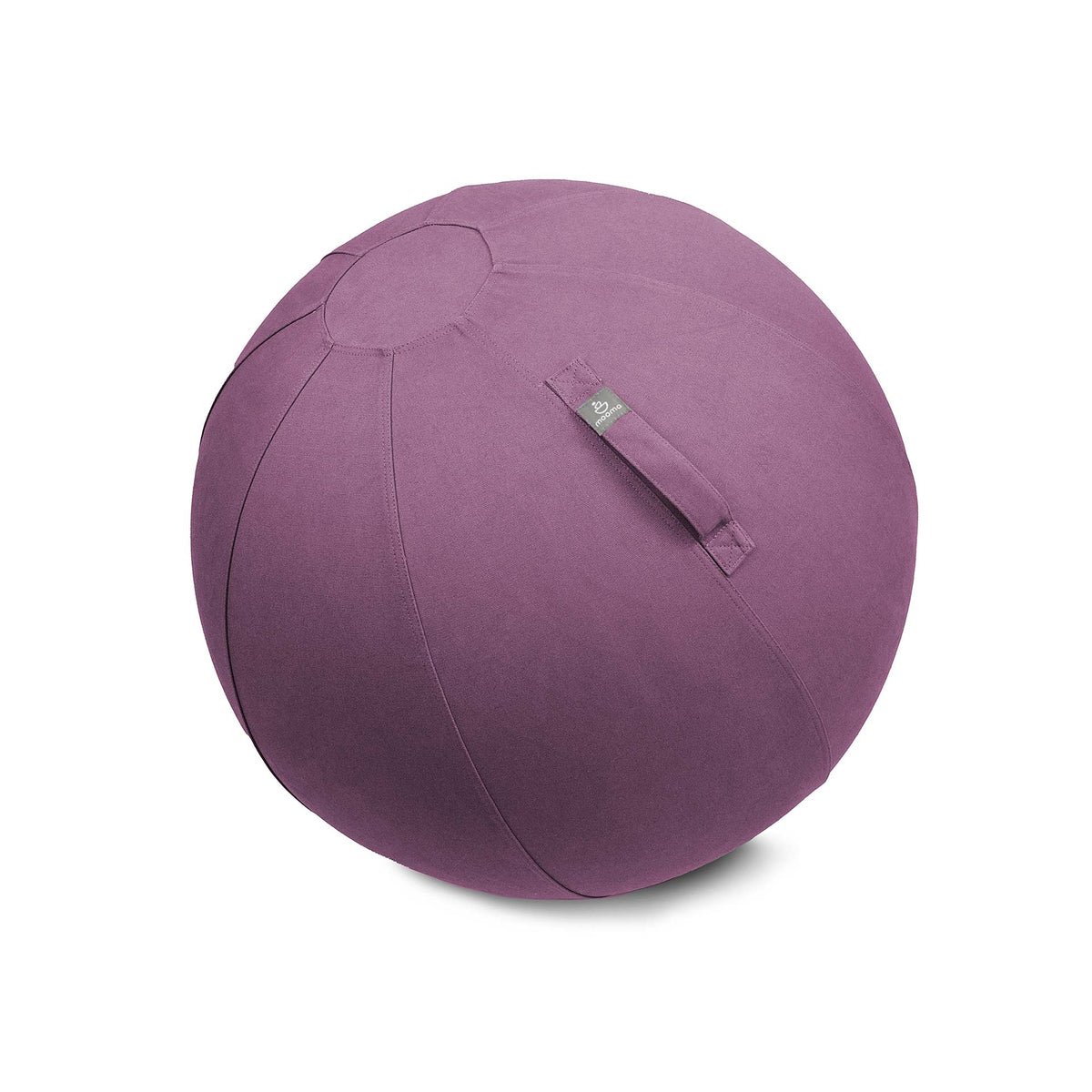 COVERED GYM BALL ø 55 cm