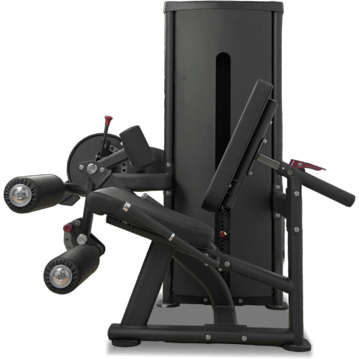 Insight Fitness Leg Curl/Extension