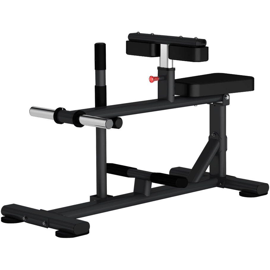 Insight Fitness Seated Calf Raise