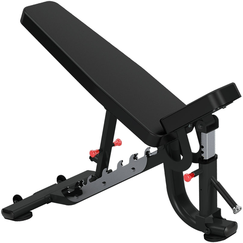 Insight Fitness FID Bench