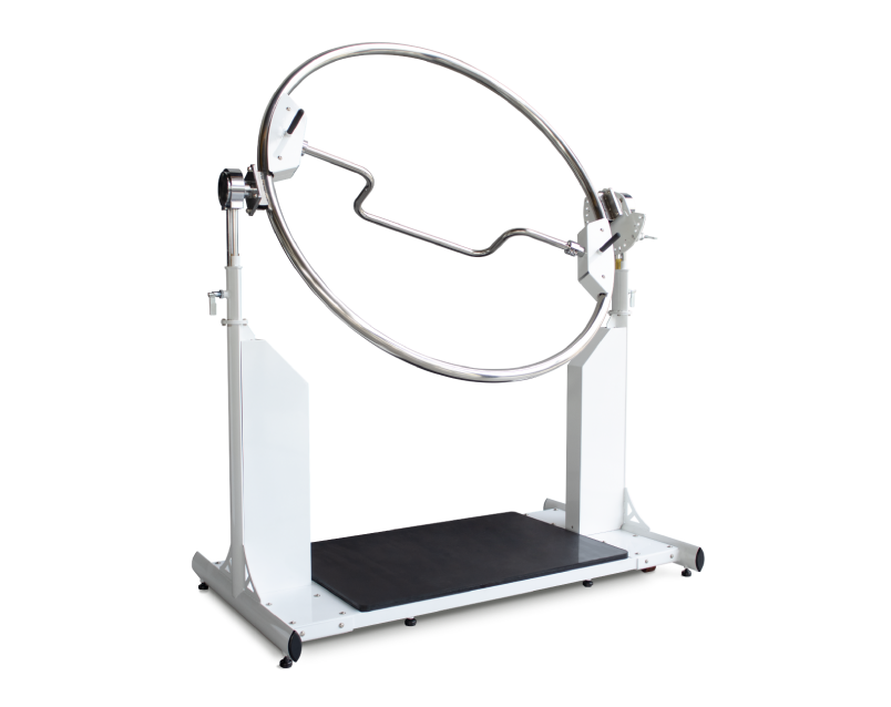 BODY SWING TRAINER EST9000