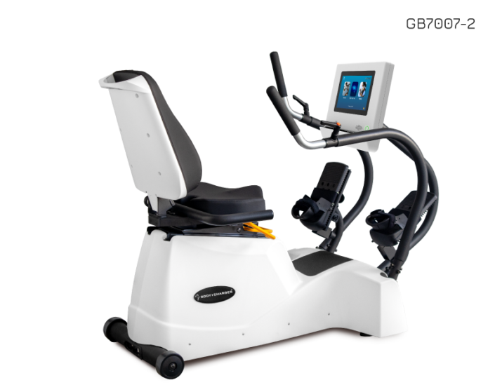 RECUMBENT LINEAR STEPPER