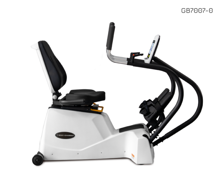 RECUMBENT LINEAR STEPPER