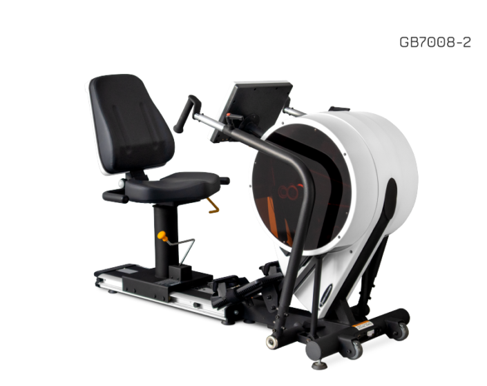 RECUMBENT STEPPER PRO
