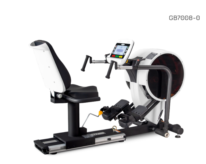 RECUMBENT STEPPER PRO