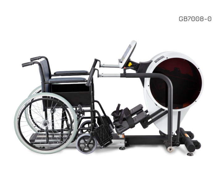 RECUMBENT STEPPER PRO