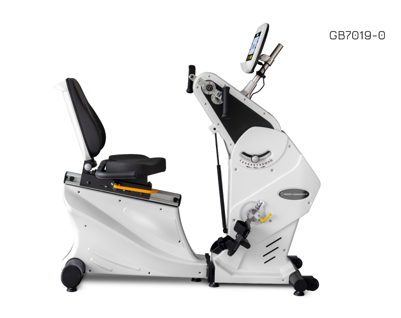 TOTAL BODY RECUMBENT BIKE