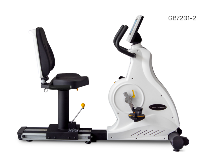 REHAB RECUMBENT BIKE