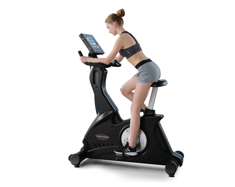 UPRIGHT BIKE PRO