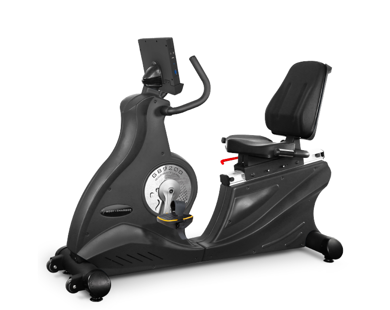 RECUMBENT BIKE PRO