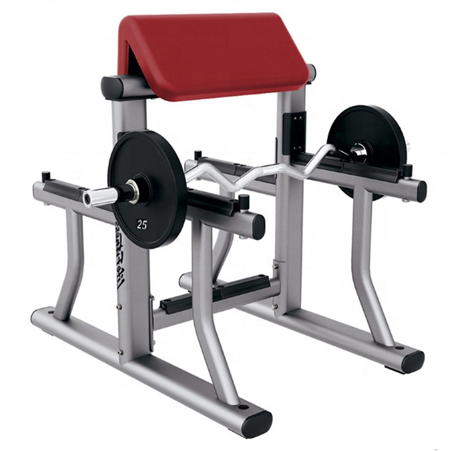 Life Fitness Signature Arm Curl Bench| Platinum - Cranberry