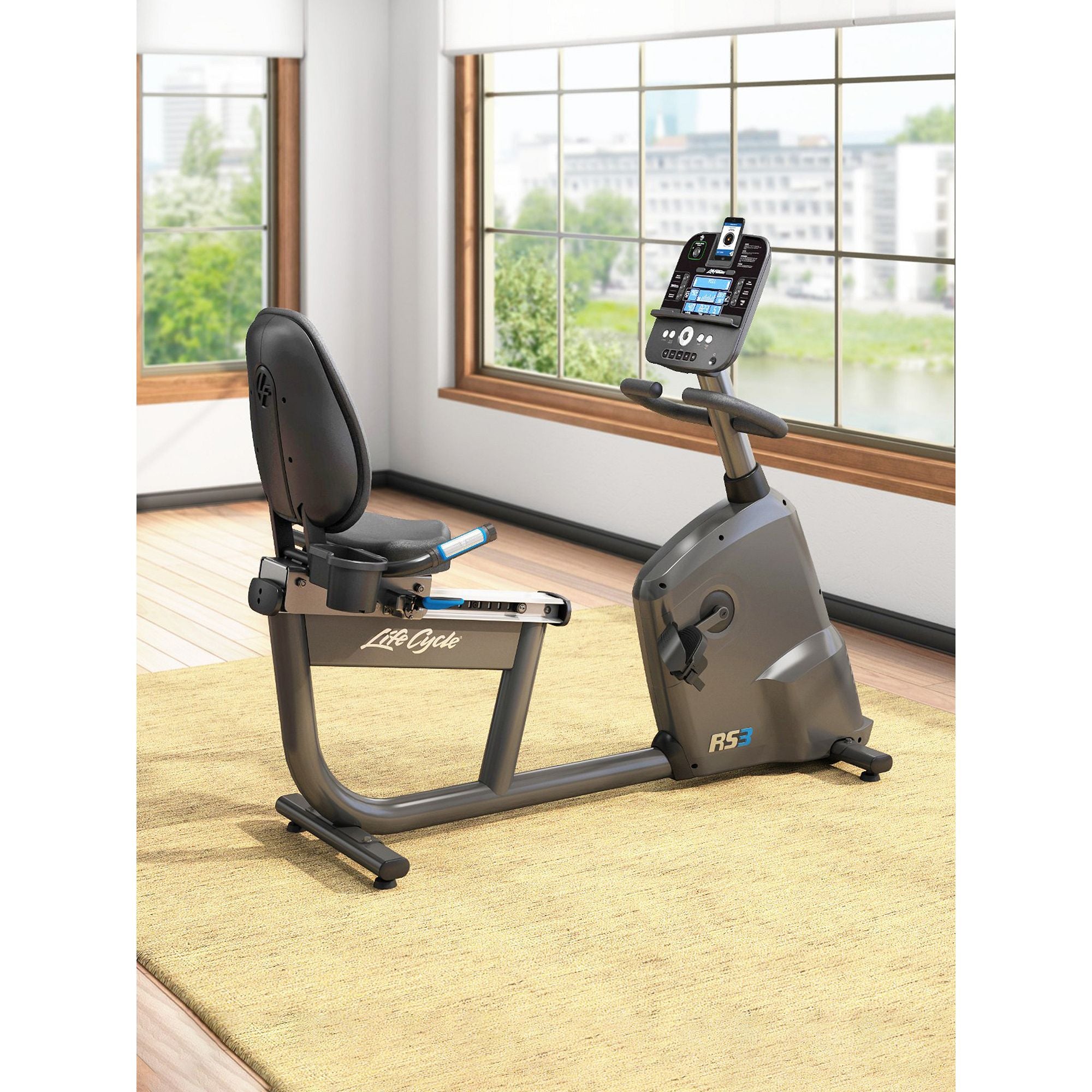 Life Fitness RS3 Recumbent Bike, Base +Track Console