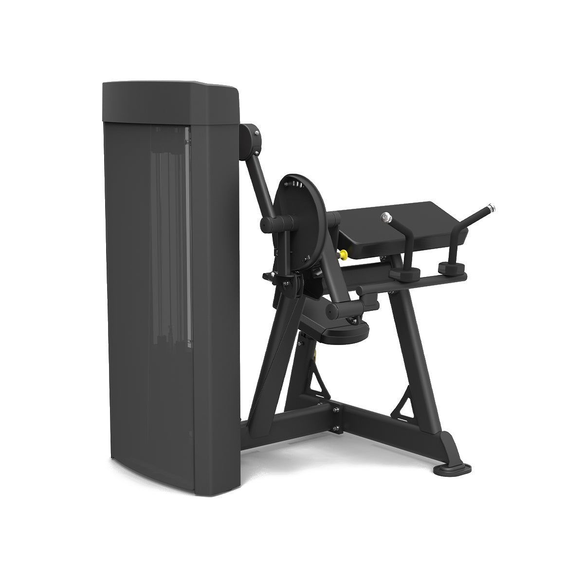 Spirit Fitness Biceps Curl & Triceps Extension – Dual Arm Strength Trainer