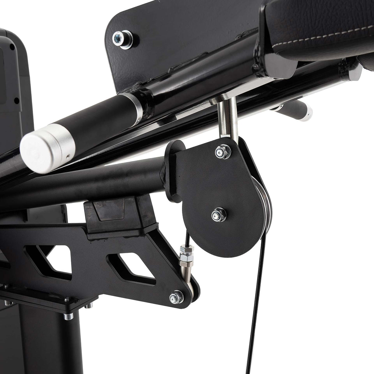 S550 STANDING CALF