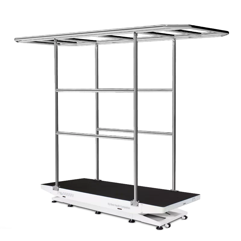 Whole body vertical gait training platform