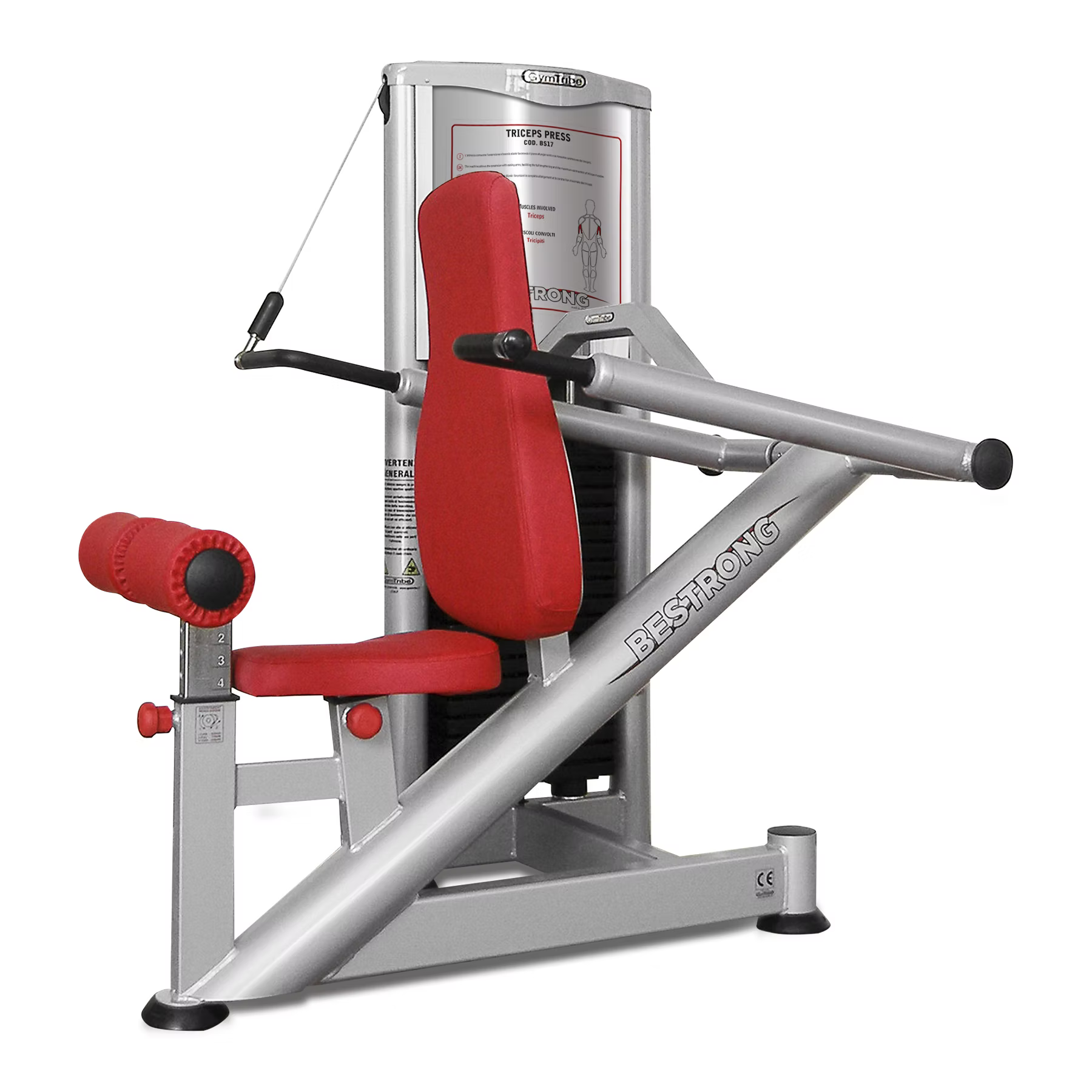 BS16 TRICEPS PRESS