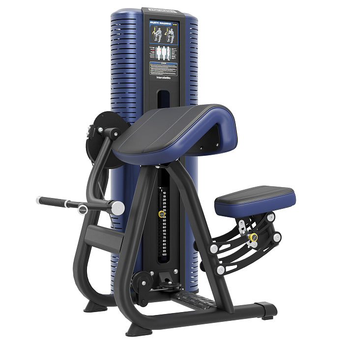 Biceps Curl Interatletika UP106