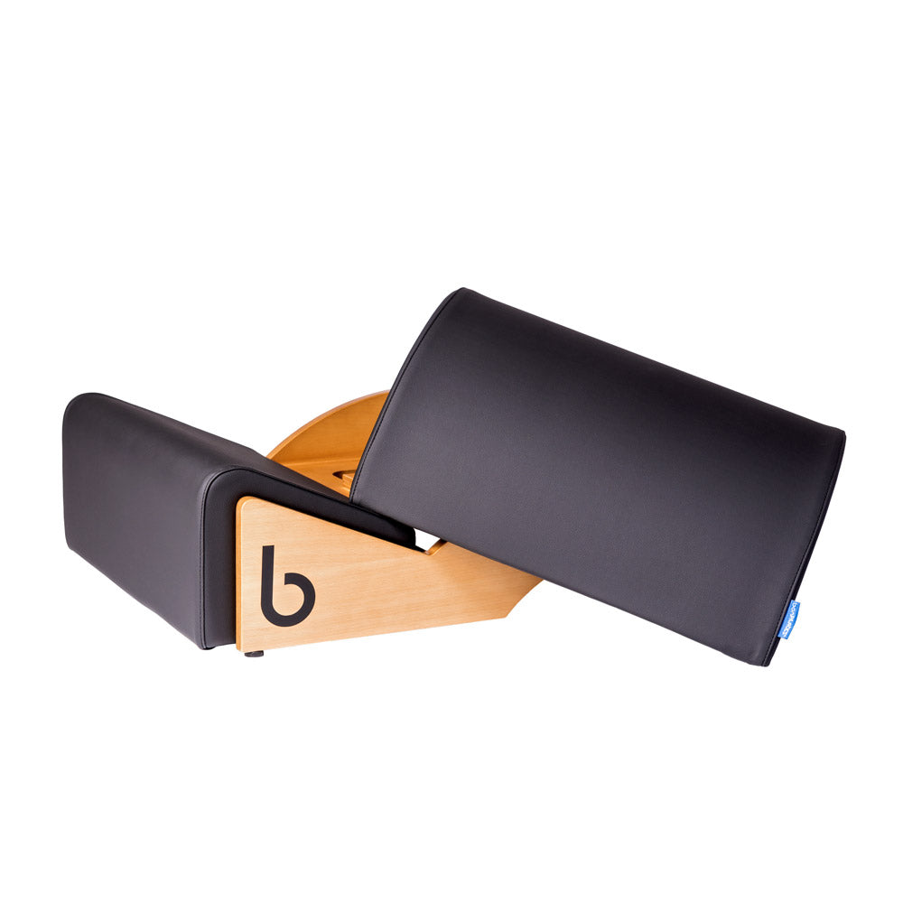 Spine Corrector Plus