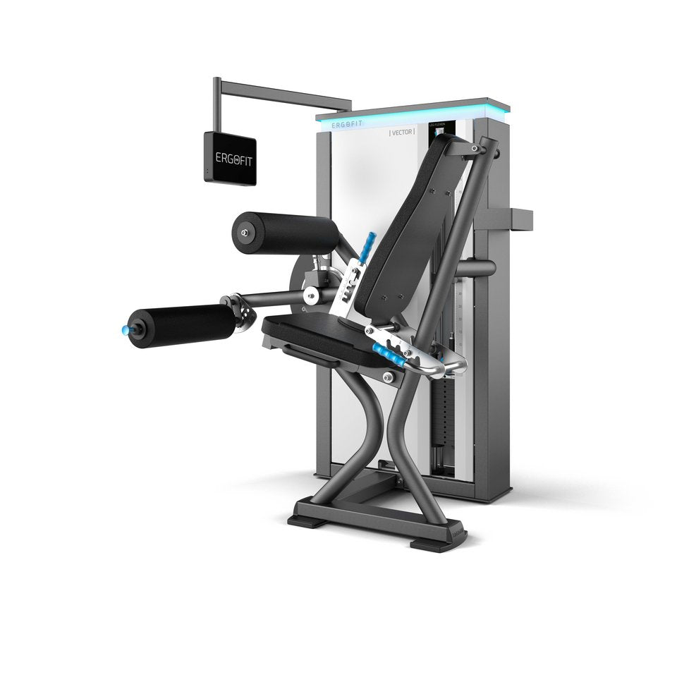 LEG FLEXION