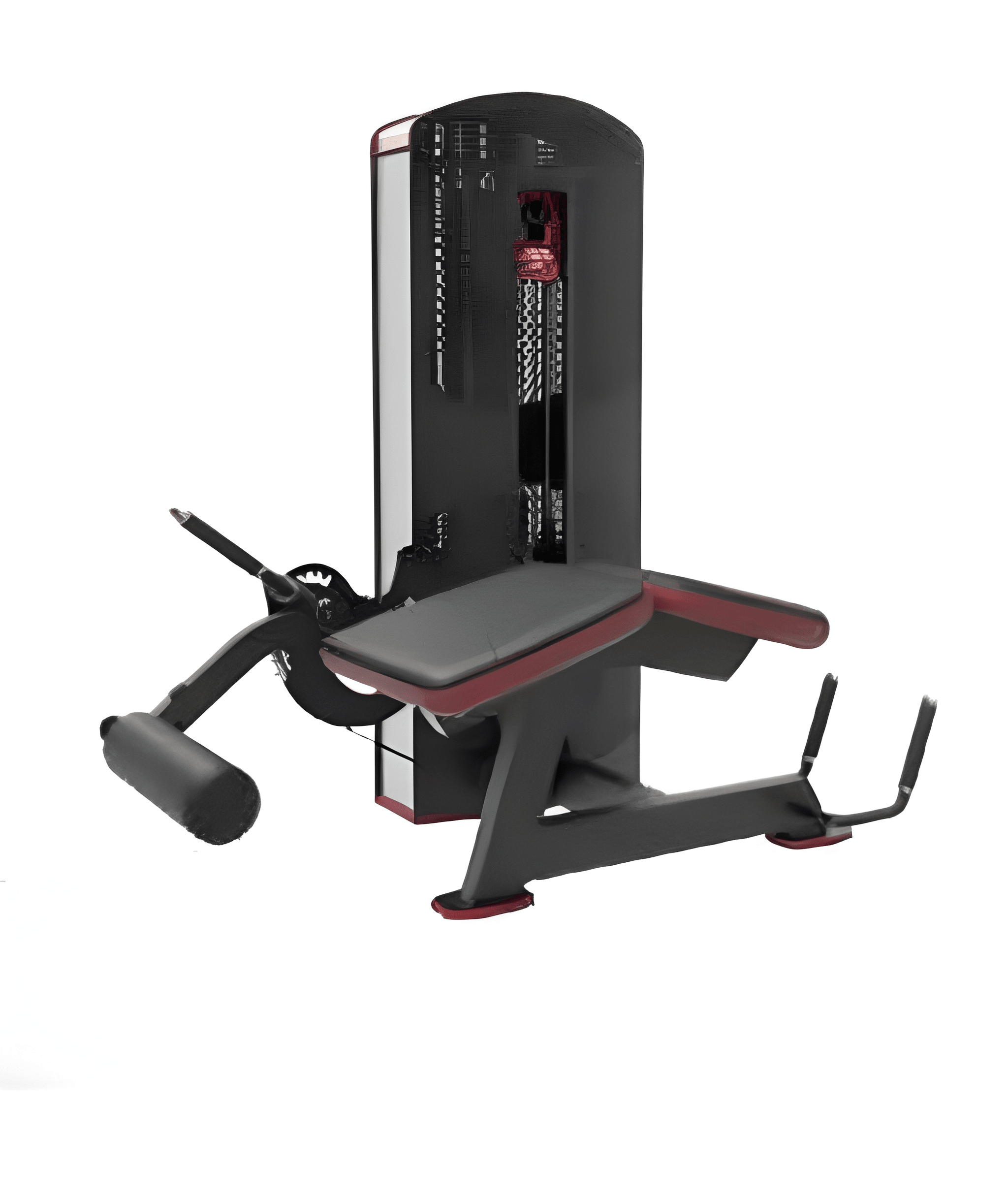 X Power 108.1 Leg Curl (prone Position)