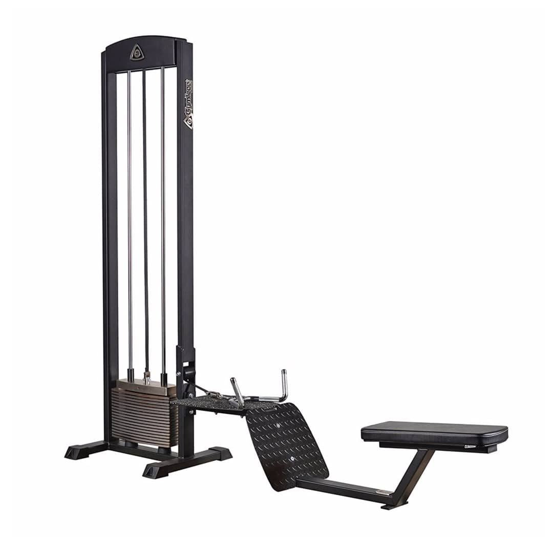 Gymleco Seated Row Cable Machine