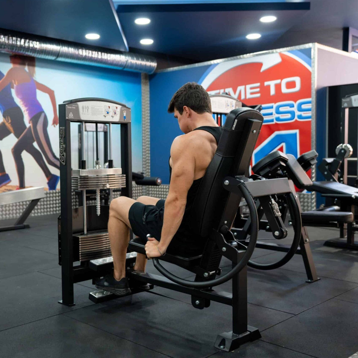 Gymleco Triceps Extension Machine — view 4