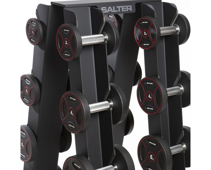 I-1734 VERTICAL RACK FOR TPU DUMBBELLS