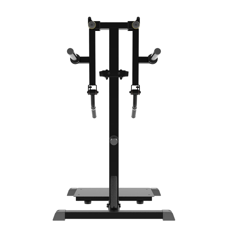 Impulse Fitness IFP1103 Standing Lateral Raise