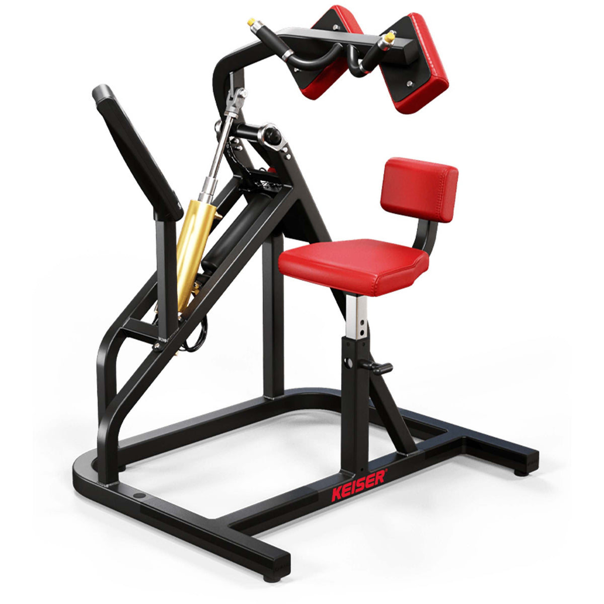 Keiser A-250 Abdominal Machine