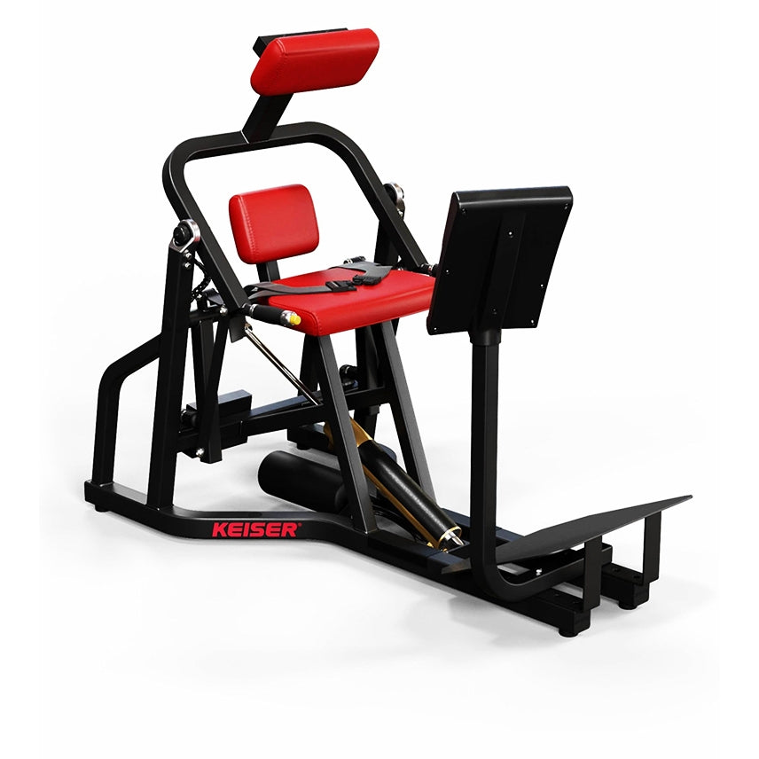 Keiser A-250 Lower Back Machine