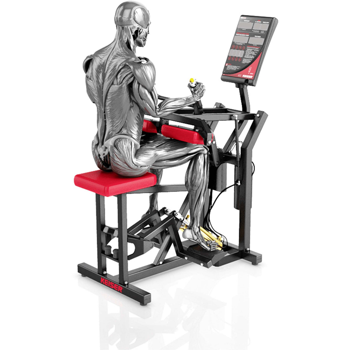 Keiser A-300 Seated Calf Machine — view 6