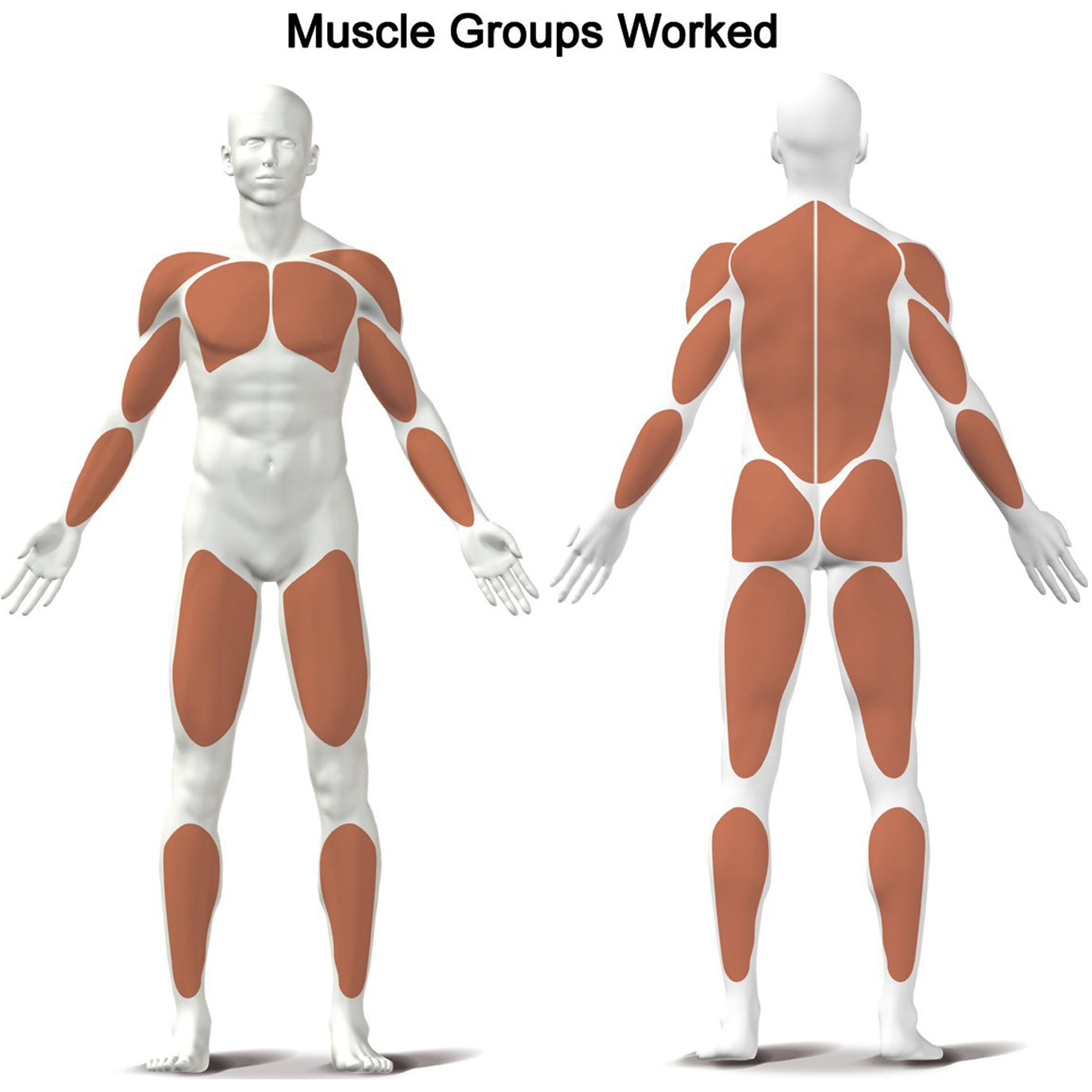 حذاء كيتلر كروس بي كروس ترينر