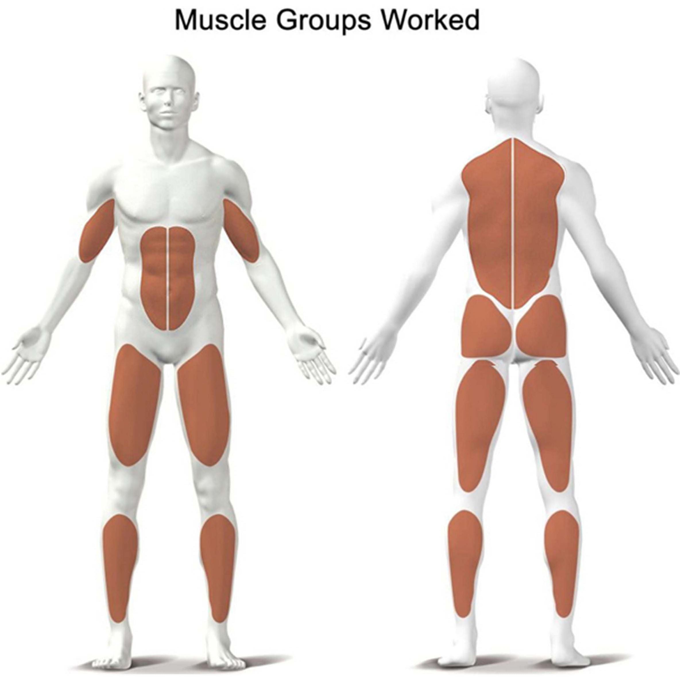 Kettler DORTMUND S1 - Treadmill