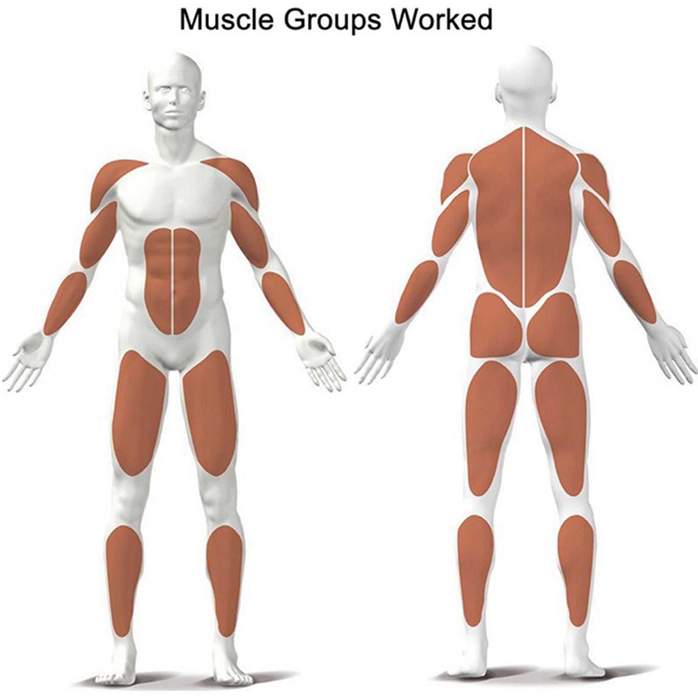 جهاز التجديف Kettler Rower 2.0