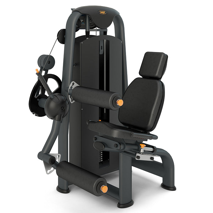 Leg Curl Inter Atletika N104