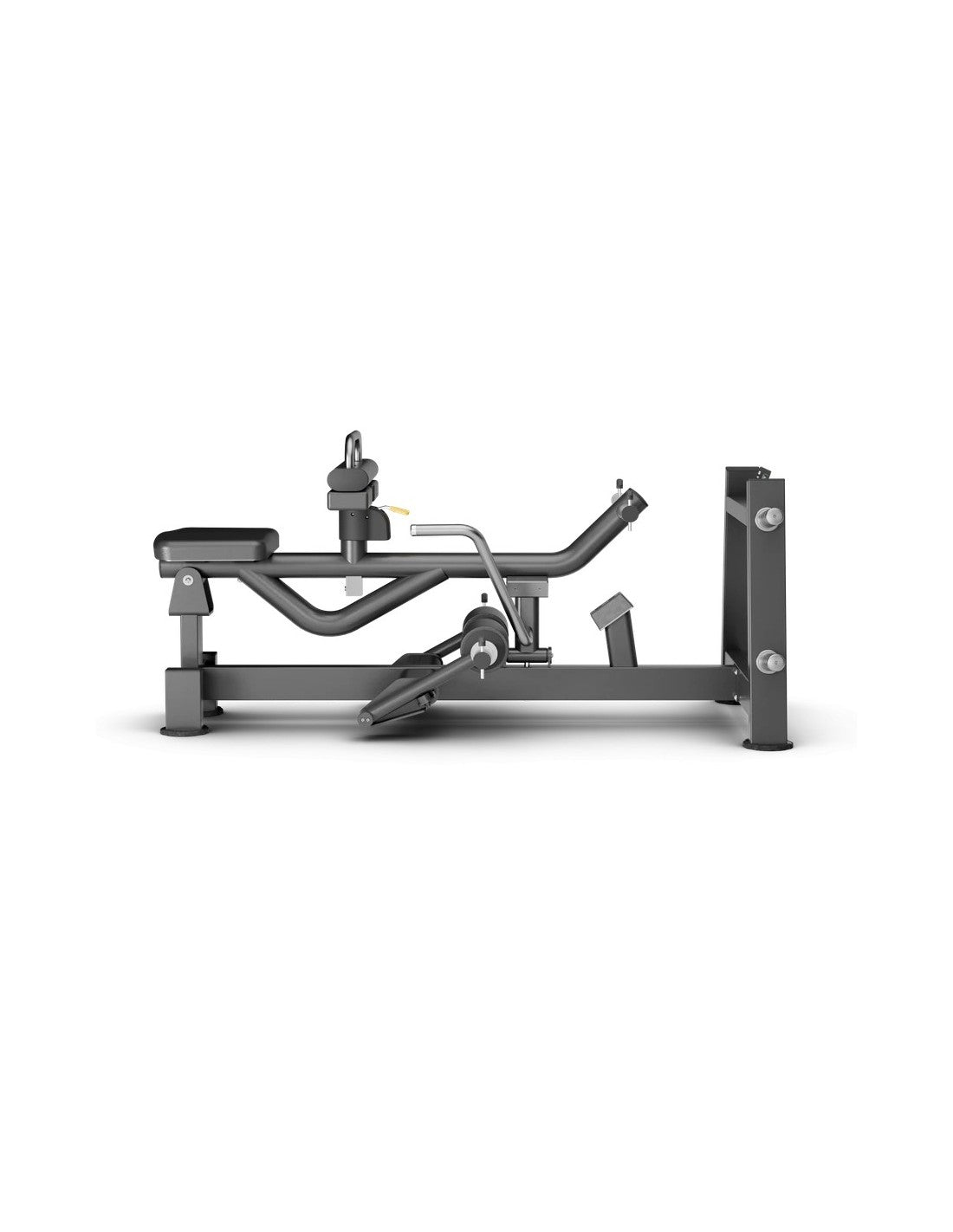 MP-118 SEATED CALF