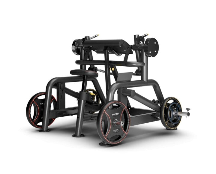 MP-121 ALTERN BICEPS CURL