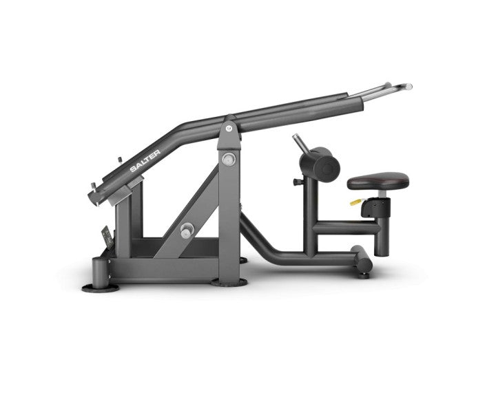 MP-196 DIPS