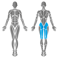 Body Extension 5510