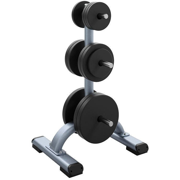 Precor DBR0817 Discovery Series Weight Plate Tree - Gloss Metallic Silver